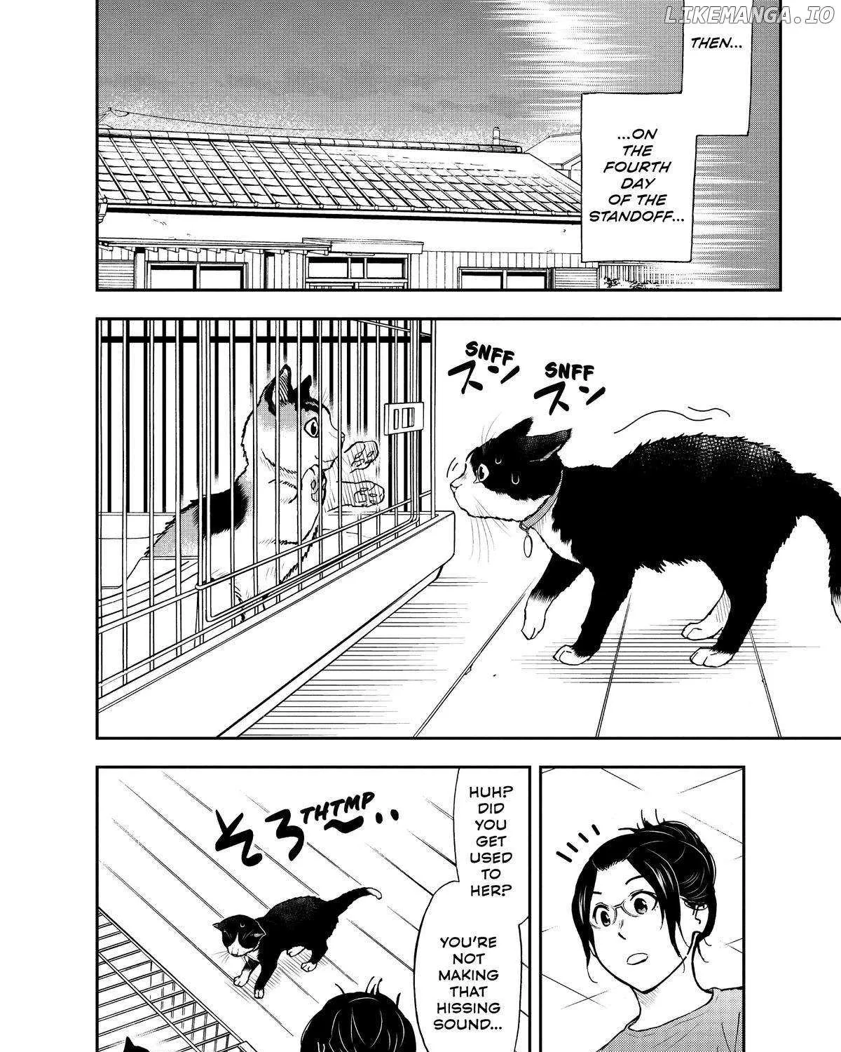 A Gamer Living with a Cat Chapter 29 page 19 - 