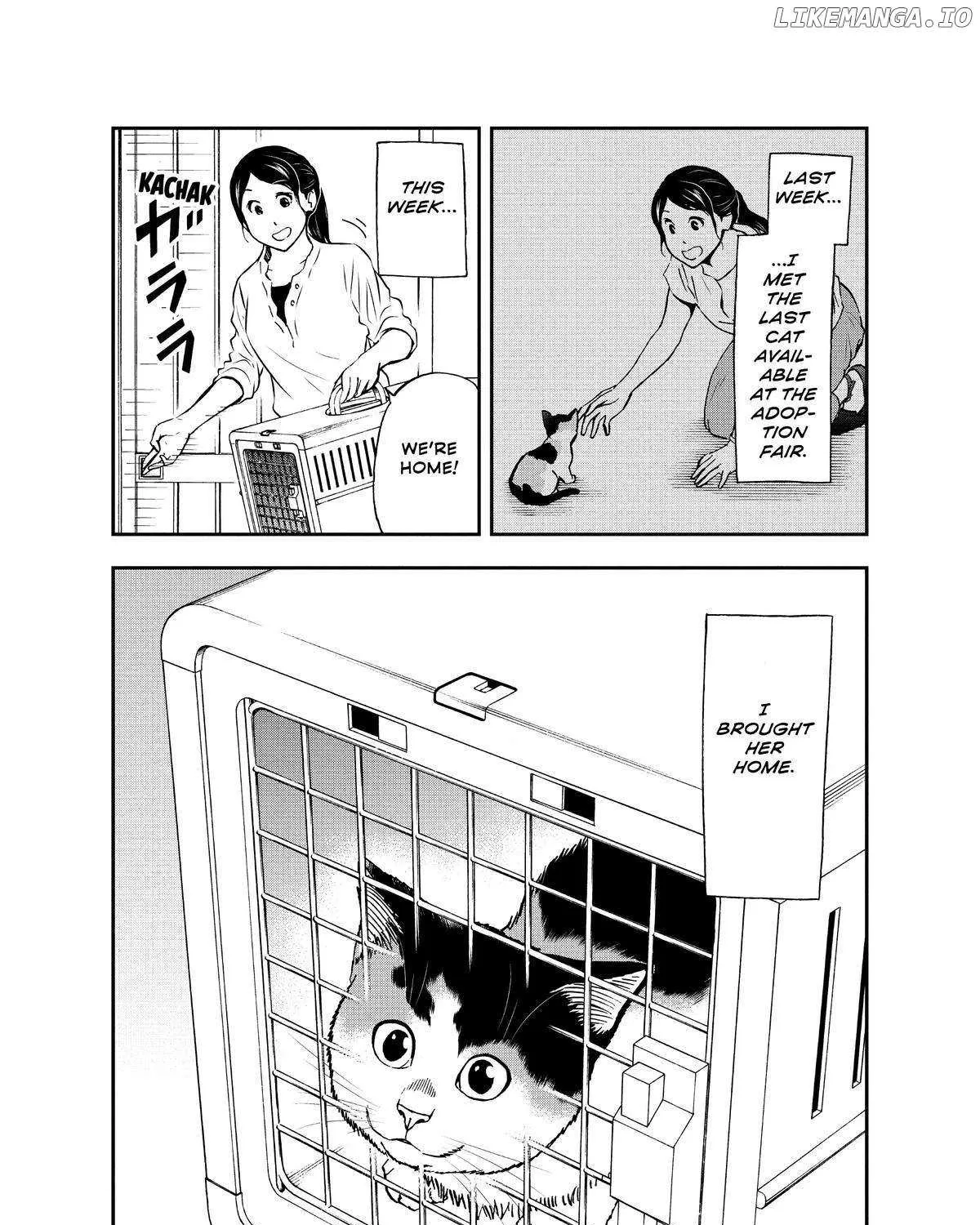 A Gamer Living with a Cat Chapter 29 page 3 - 
