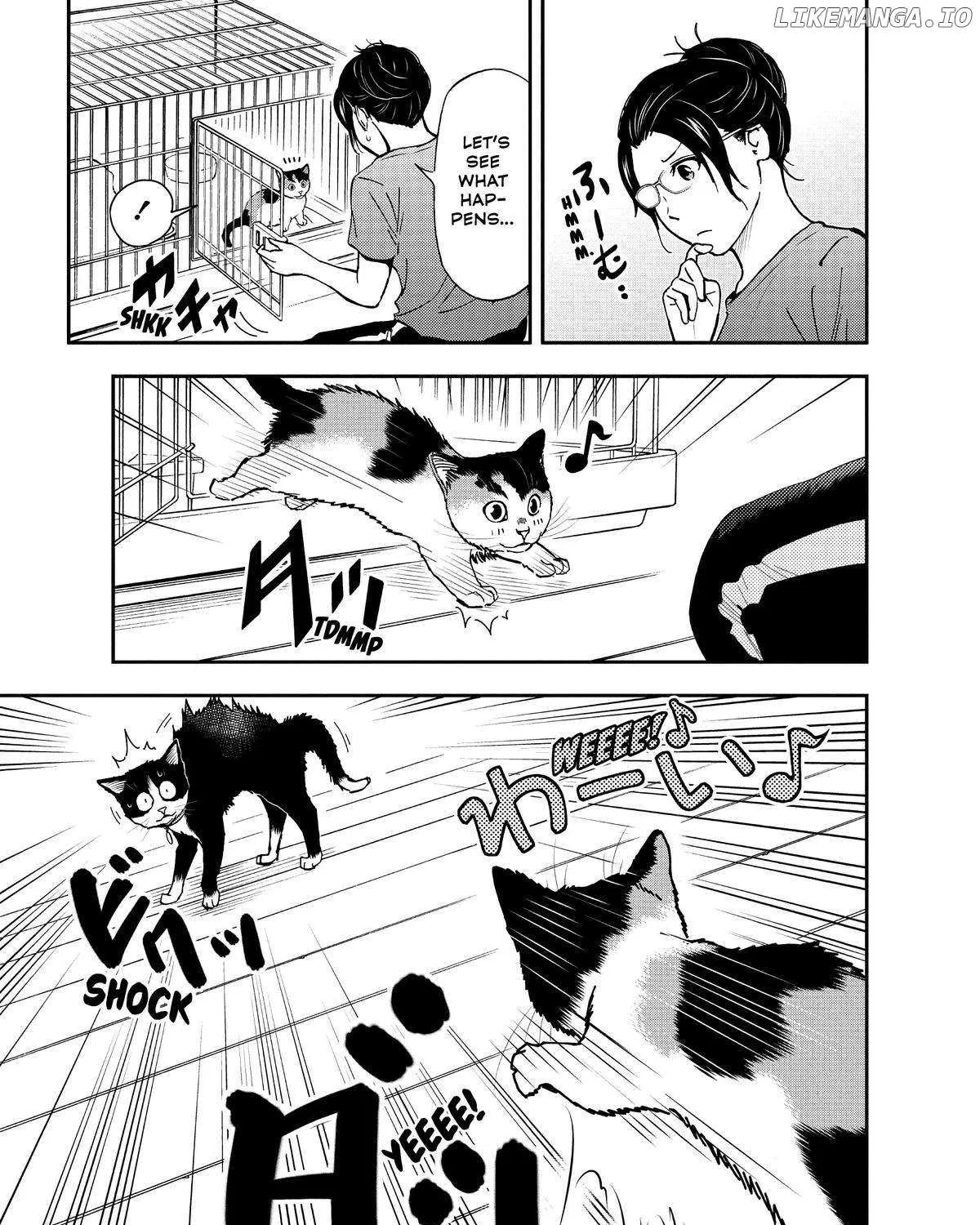 A Gamer Living with a Cat Chapter 29 page 21 - 