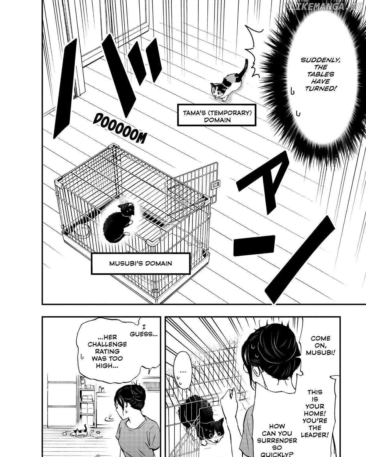 A Gamer Living with a Cat Chapter 29 page 27 - 