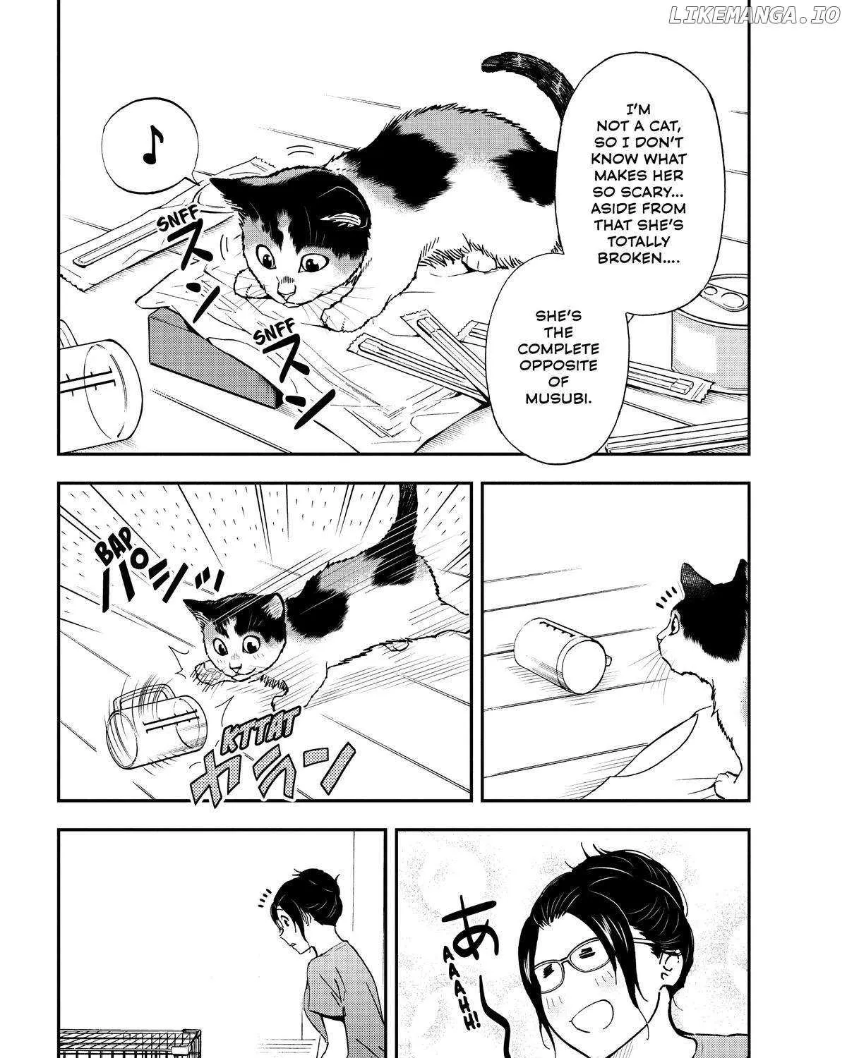 A Gamer Living with a Cat Chapter 29 page 29 - 