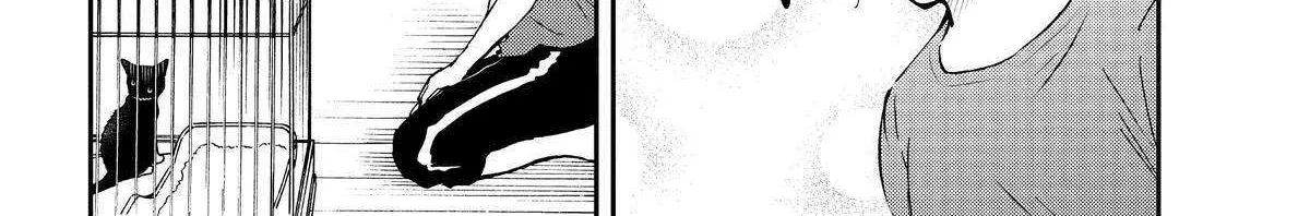 A Gamer Living with a Cat Chapter 29 page 30 - 