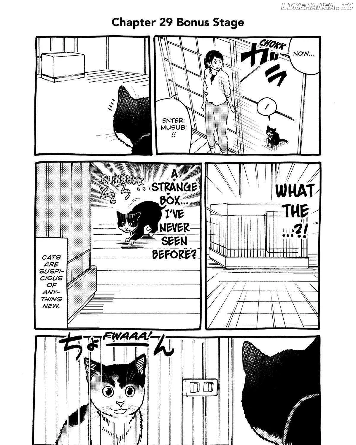 A Gamer Living with a Cat Chapter 29 page 33 - 