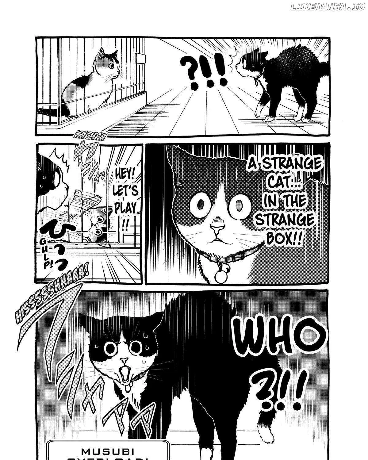 A Gamer Living with a Cat Chapter 29 page 35 - 