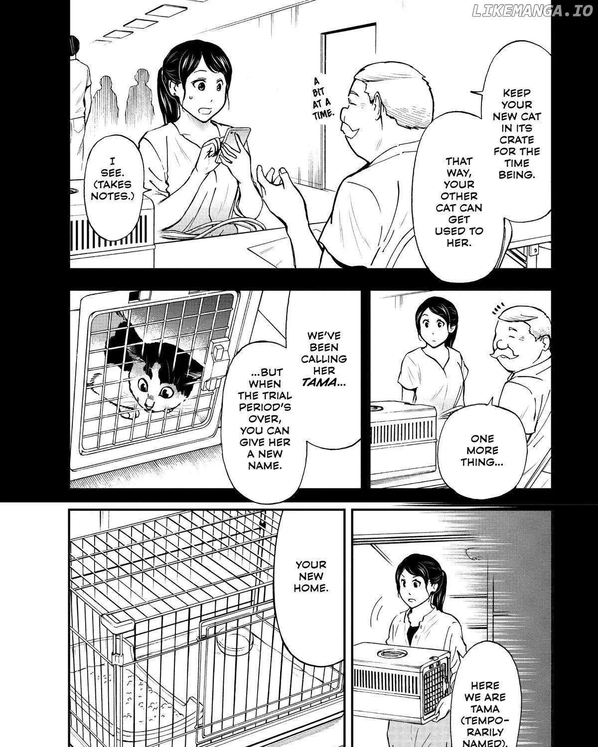 A Gamer Living with a Cat Chapter 29 page 7 - 