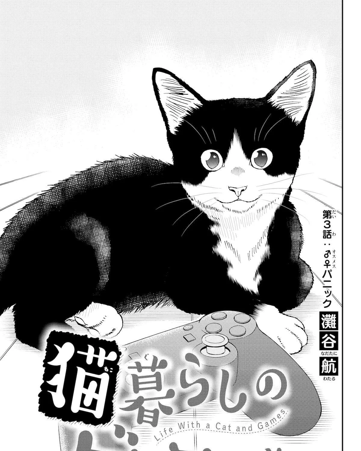 A Gamer Living with a Cat Chapter 3 page 1 - 