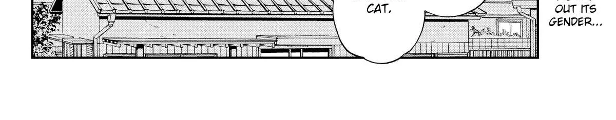 A Gamer Living with a Cat Chapter 3 page 40 - 