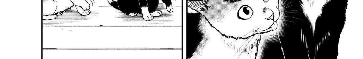 A Gamer Living with a Cat Chapter 30 page 13 - 