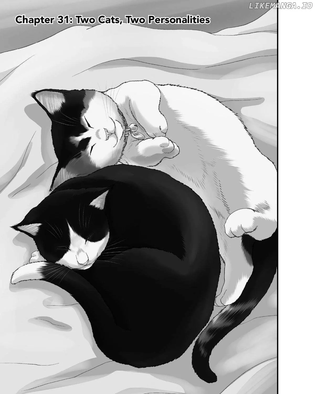 A Gamer Living with a Cat Chapter 31 page 1 - 