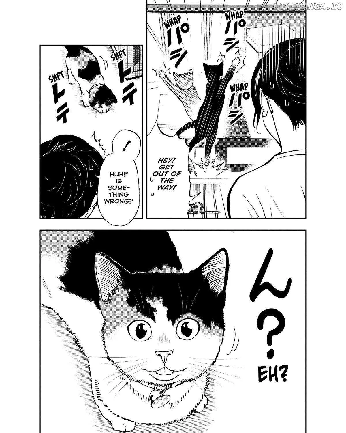 A Gamer Living with a Cat Chapter 31 page 19 - 