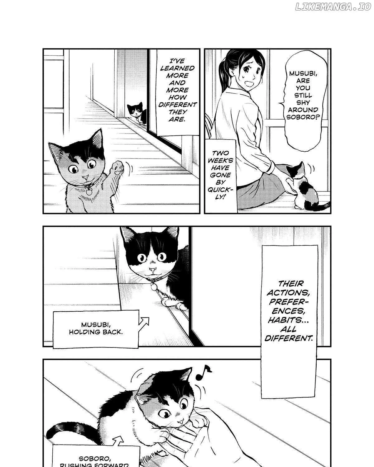 A Gamer Living with a Cat Chapter 31 page 5 - 