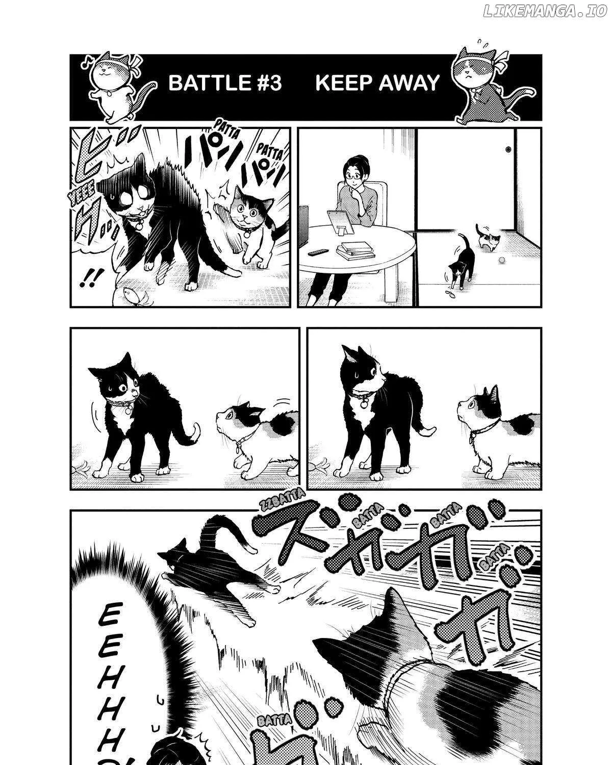 A Gamer Living with a Cat Chapter 32 page 18 - 