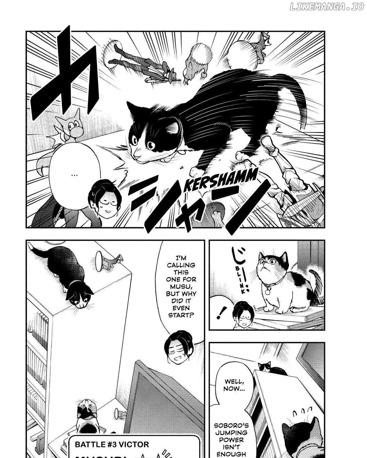 A Gamer Living with a Cat Chapter 32 page 22 - 