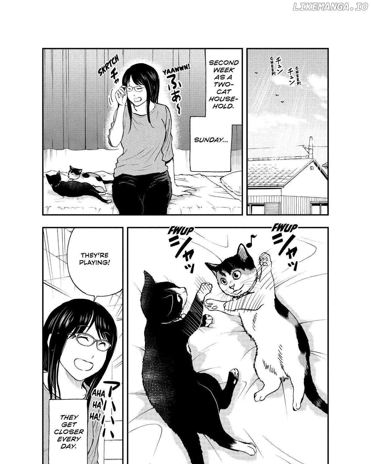 A Gamer Living with a Cat Chapter 32 page 4 - 