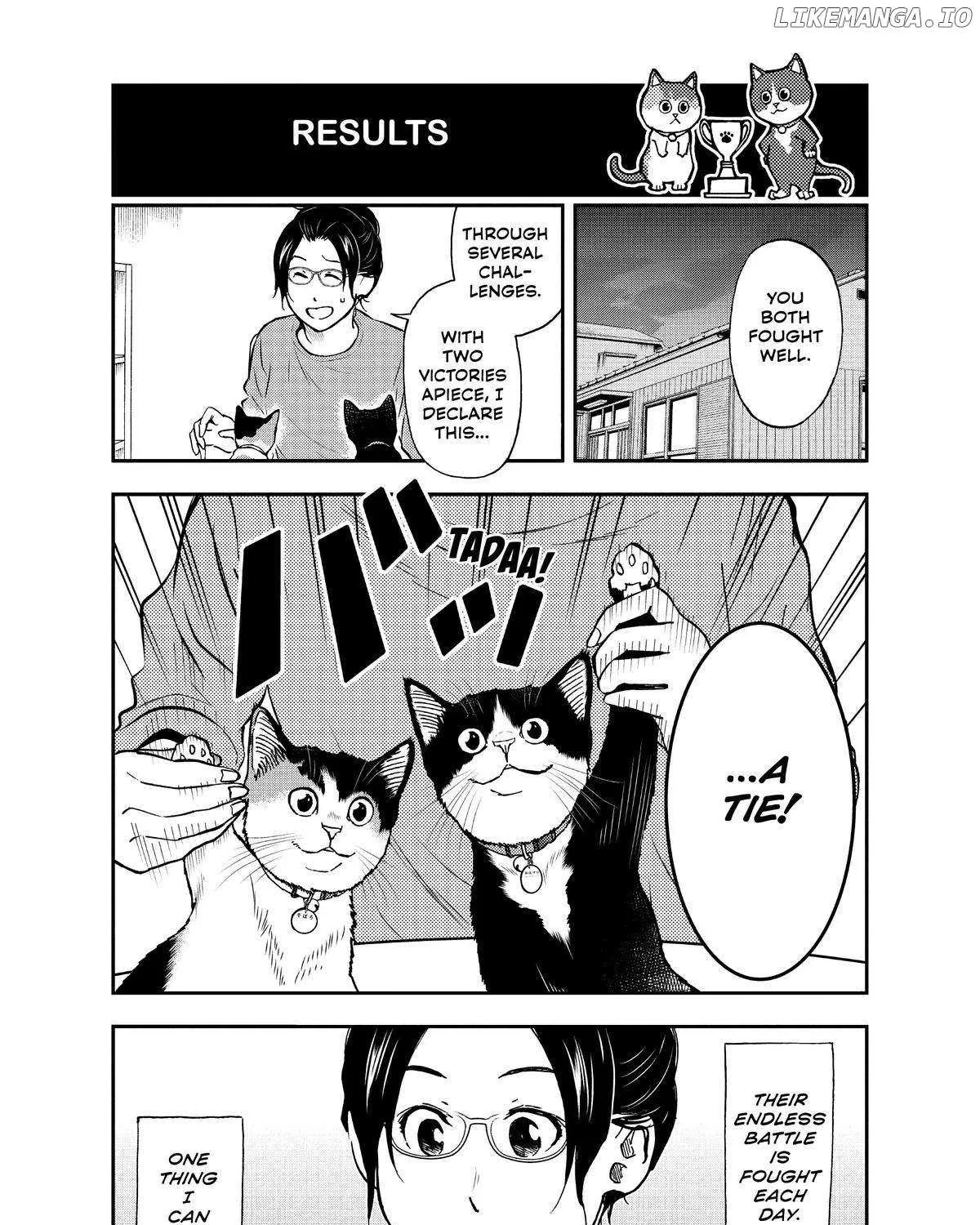 A Gamer Living with a Cat Chapter 32 page 34 - 