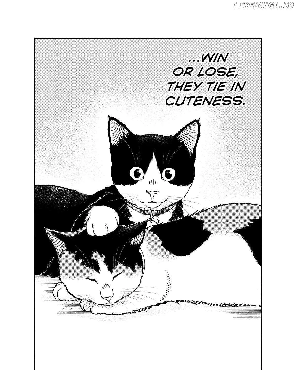 A Gamer Living with a Cat Chapter 32 page 36 - 