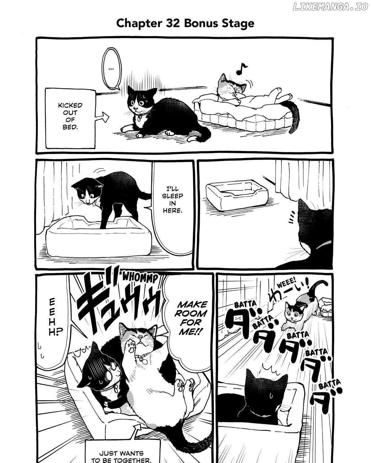 A Gamer Living with a Cat Chapter 32 page 38 - 