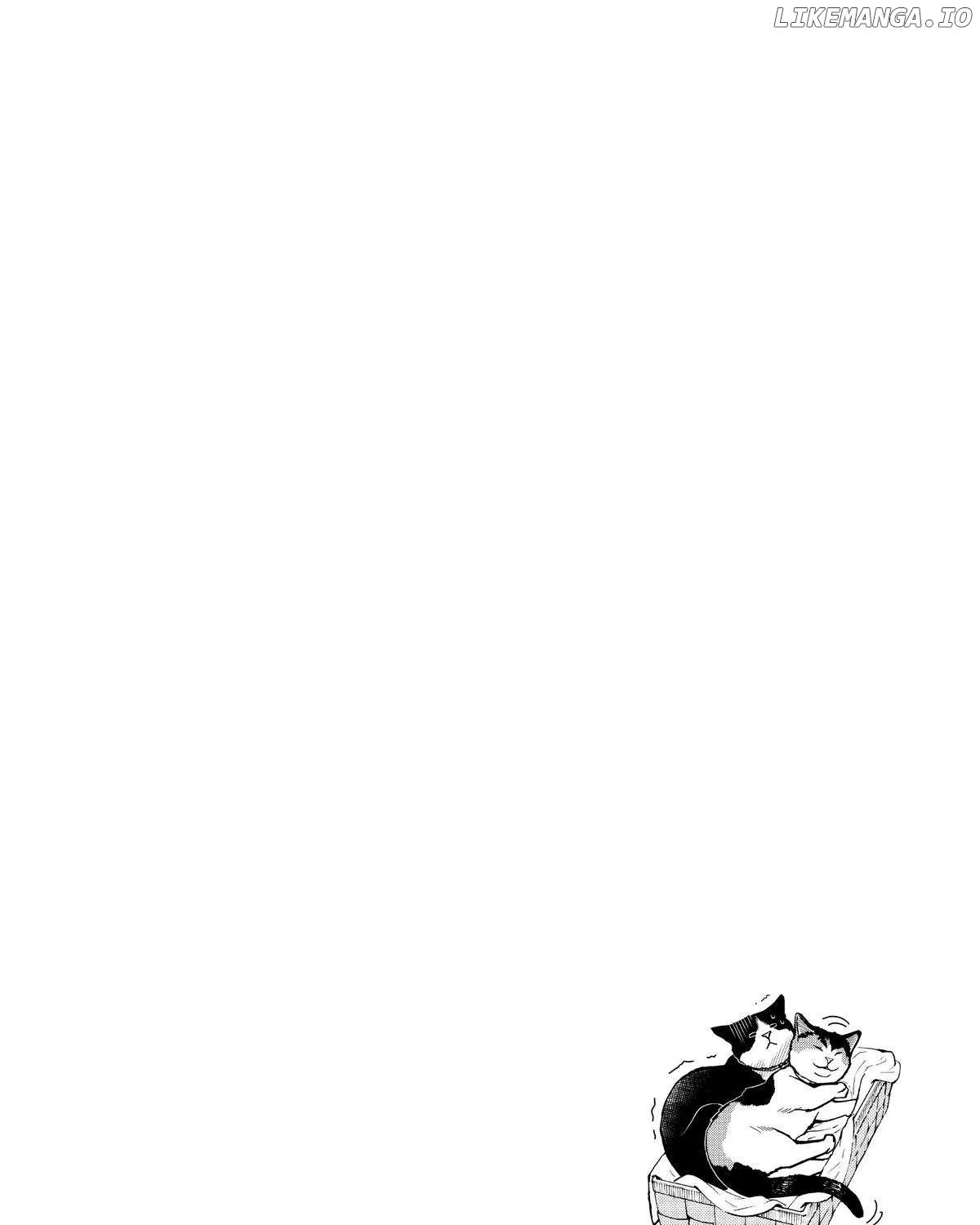 A Gamer Living with a Cat Chapter 32 page 40 - 