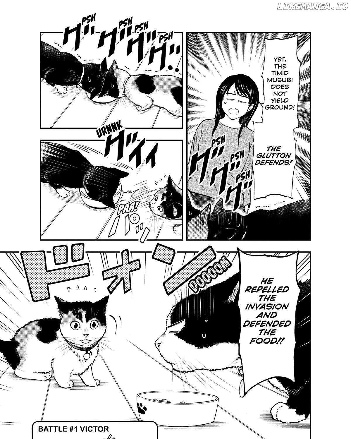 A Gamer Living with a Cat Chapter 32 page 10 - 