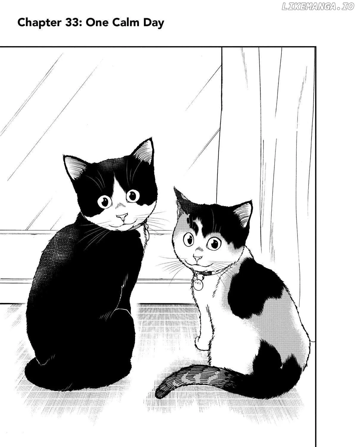 A Gamer Living with a Cat Chapter 33 page 1 - 
