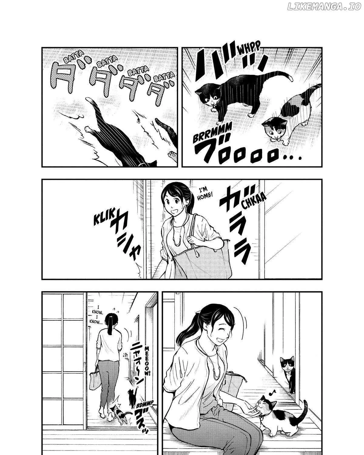 A Gamer Living with a Cat Chapter 33 page 13 - 