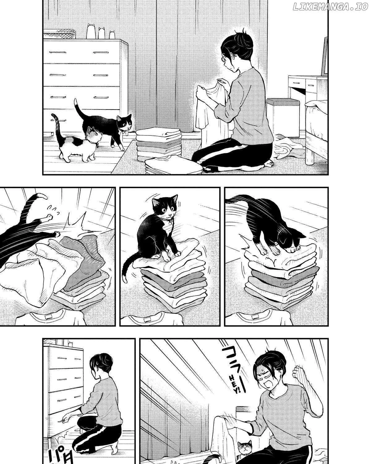 A Gamer Living with a Cat Chapter 33 page 17 - 