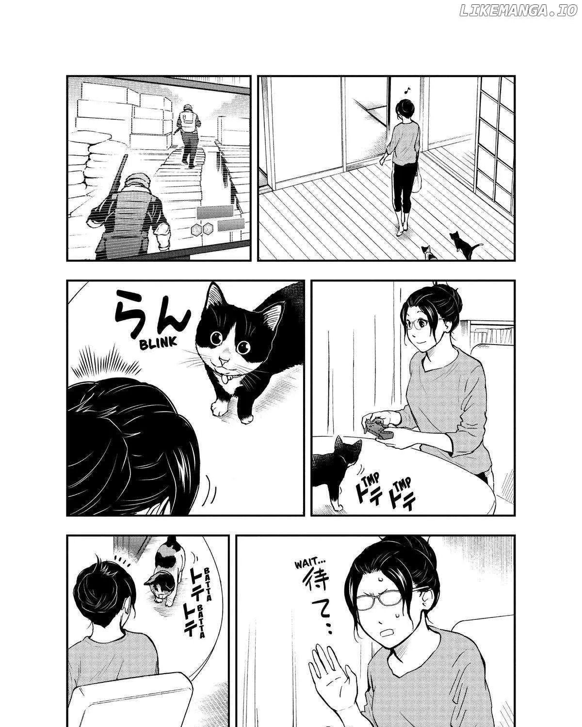 A Gamer Living with a Cat Chapter 33 page 19 - 