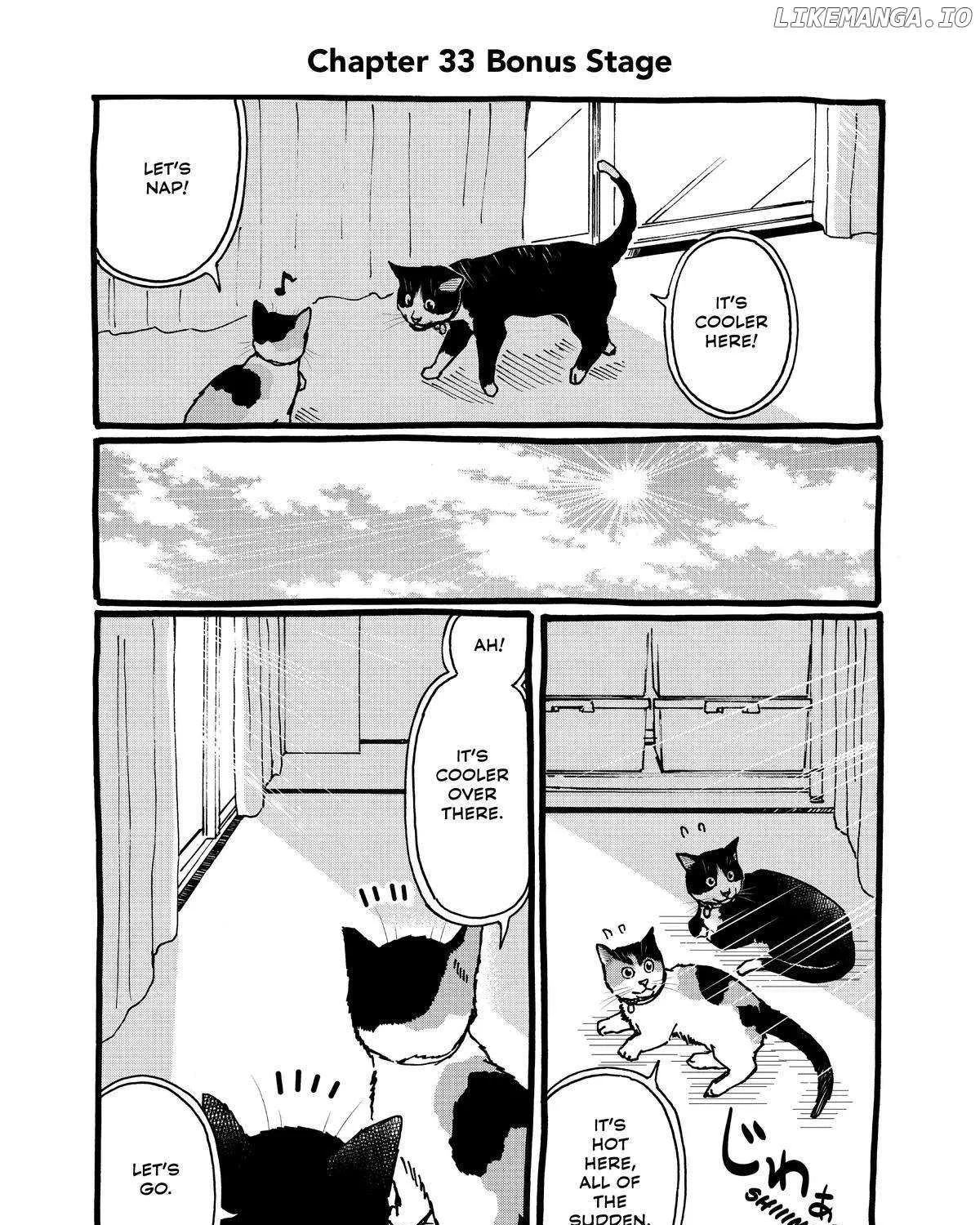 A Gamer Living with a Cat Chapter 33 page 29 - 