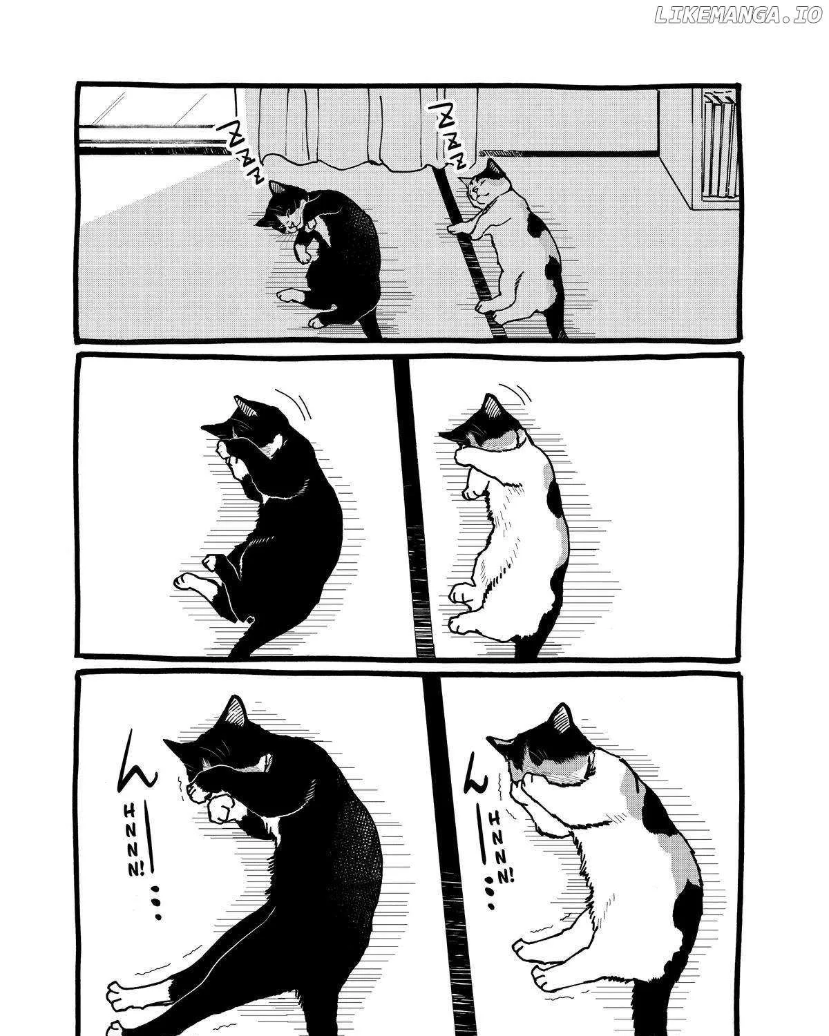 A Gamer Living with a Cat Chapter 33 page 31 - 
