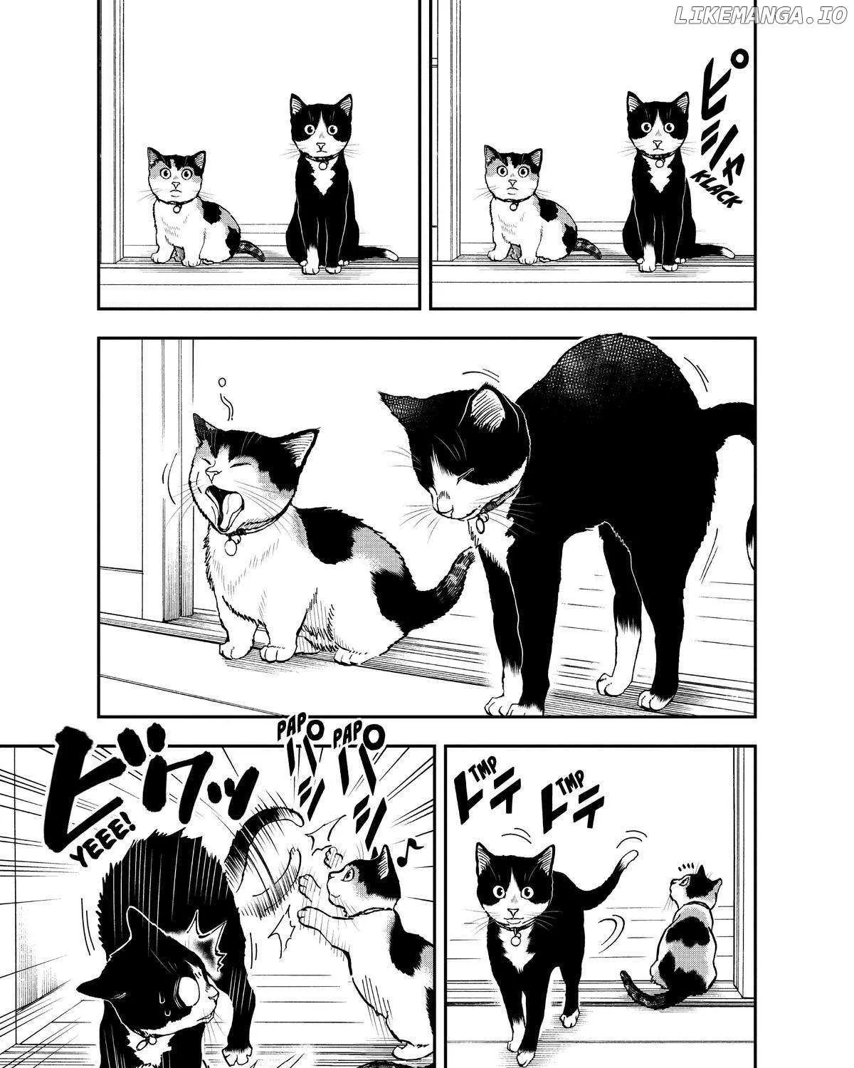 A Gamer Living with a Cat Chapter 33 page 5 - 