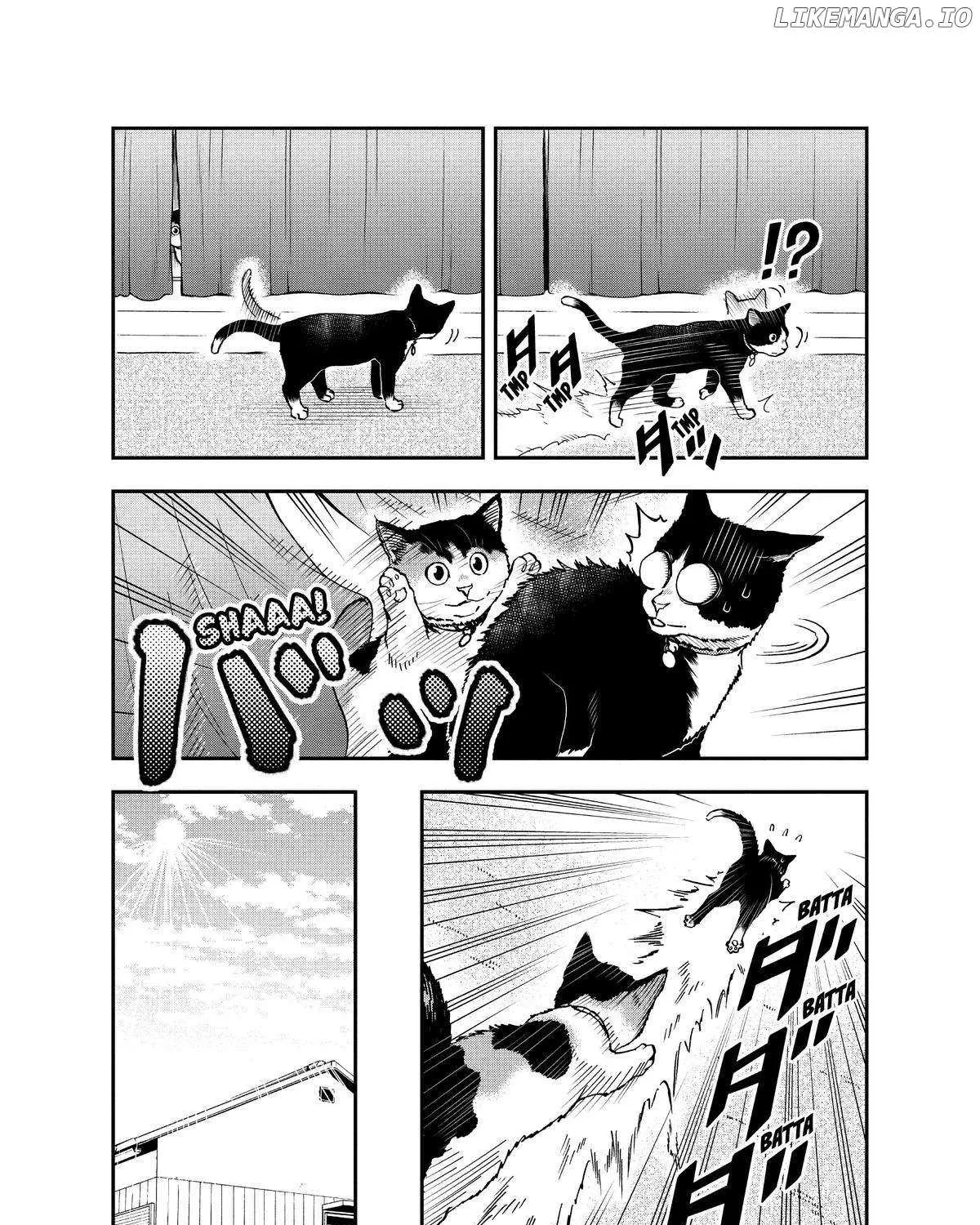 A Gamer Living with a Cat Chapter 33 page 9 - 