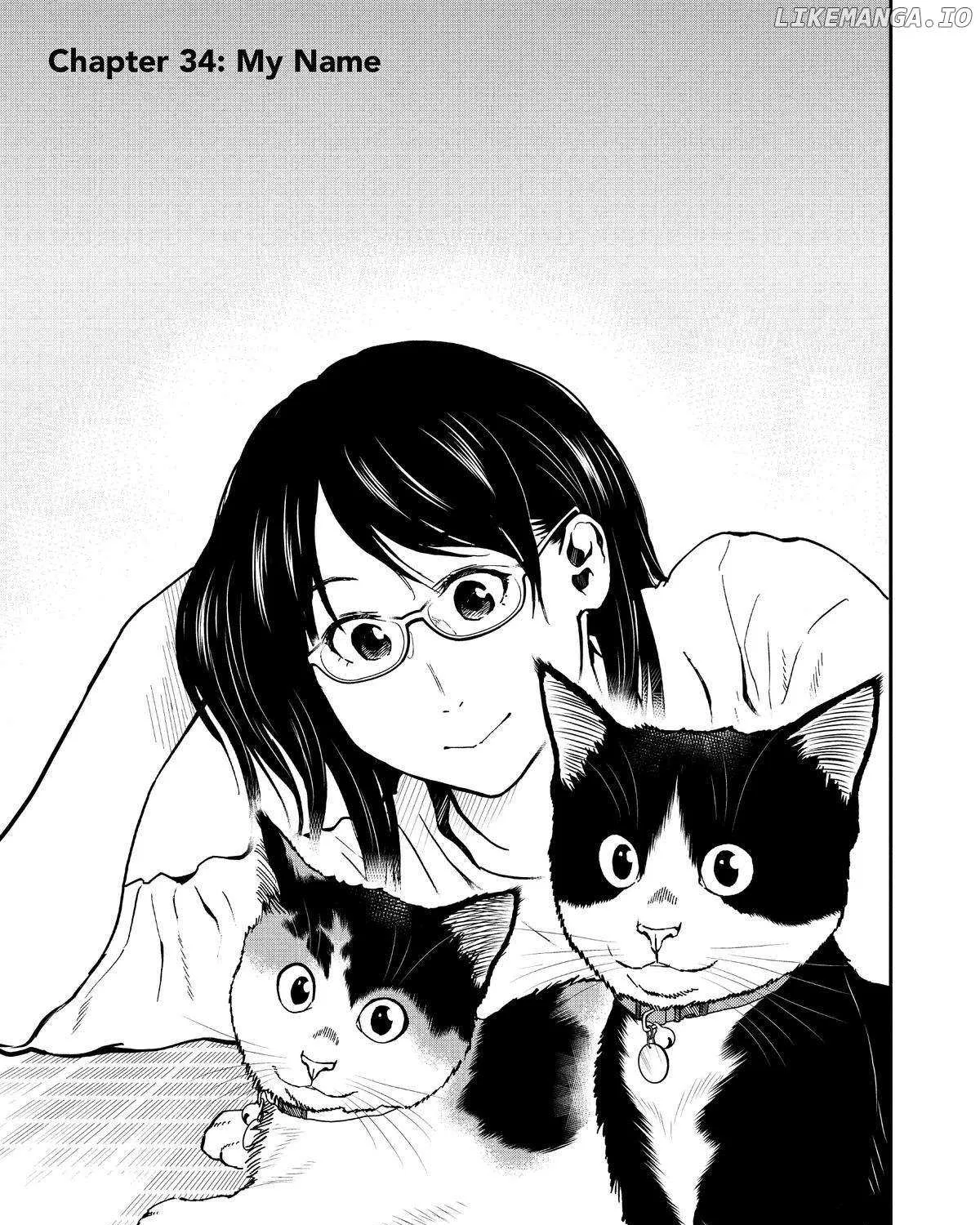 A Gamer Living with a Cat Chapter 34 page 1 - 