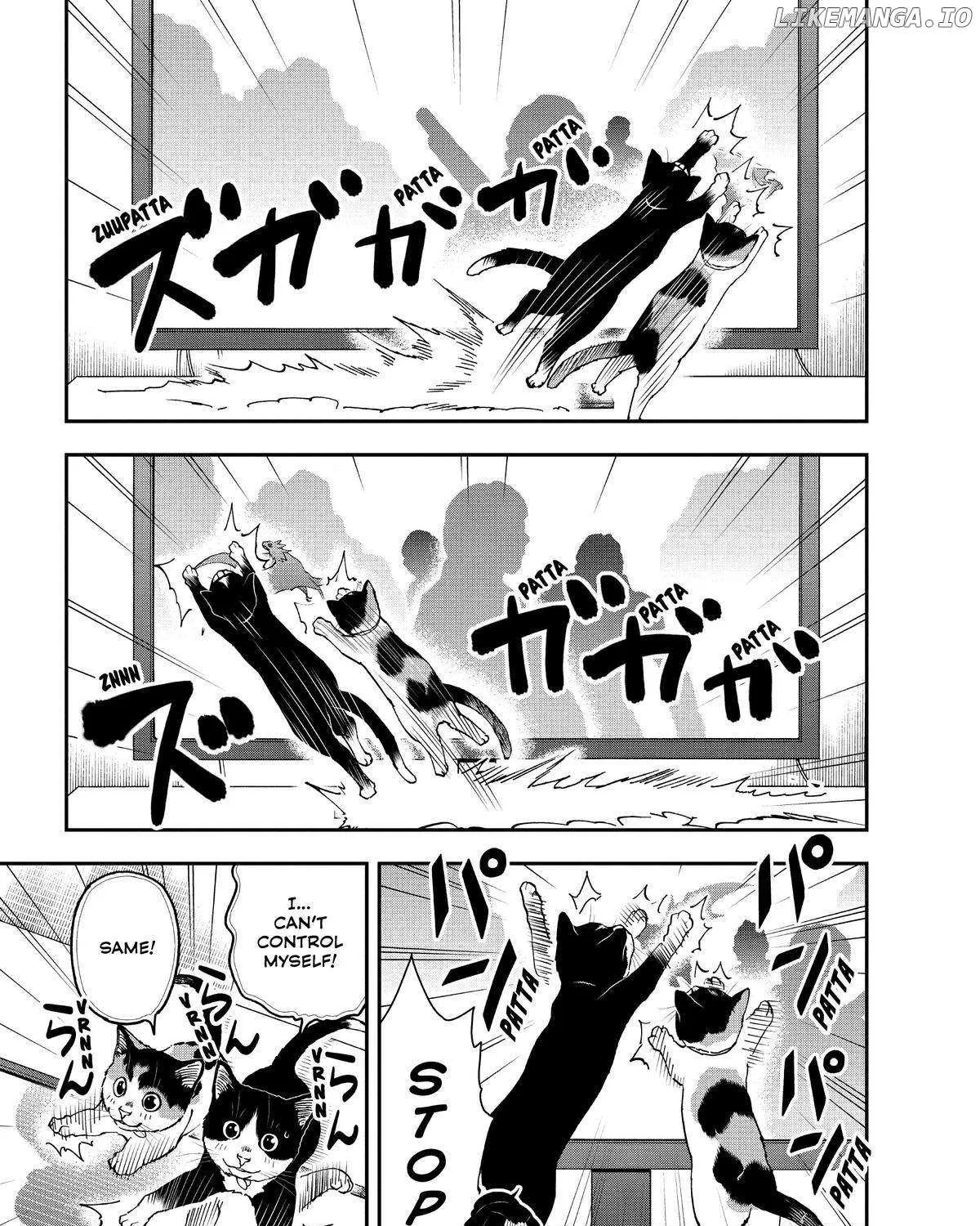 A Gamer Living with a Cat Chapter 34 page 17 - 
