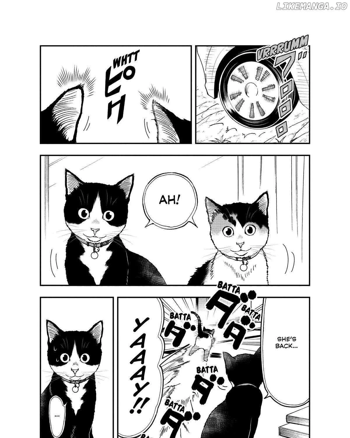 A Gamer Living with a Cat Chapter 34 page 3 - 