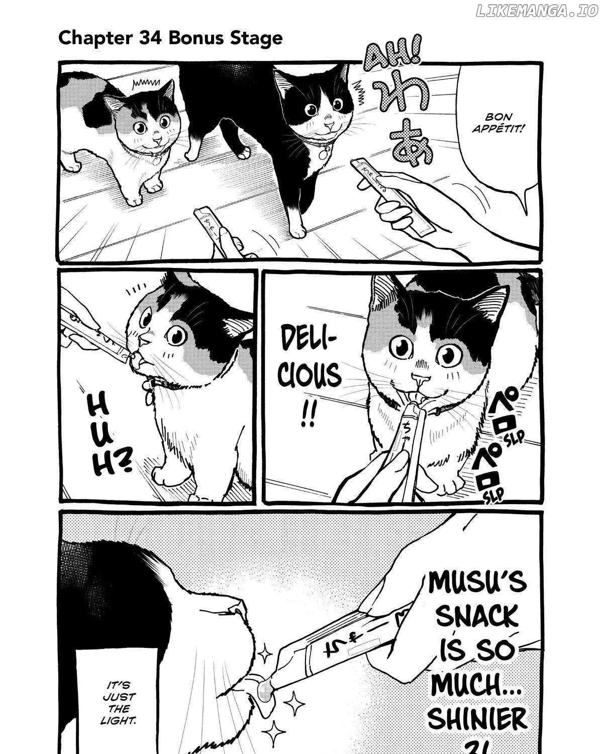 A Gamer Living with a Cat Chapter 34 page 33 - 