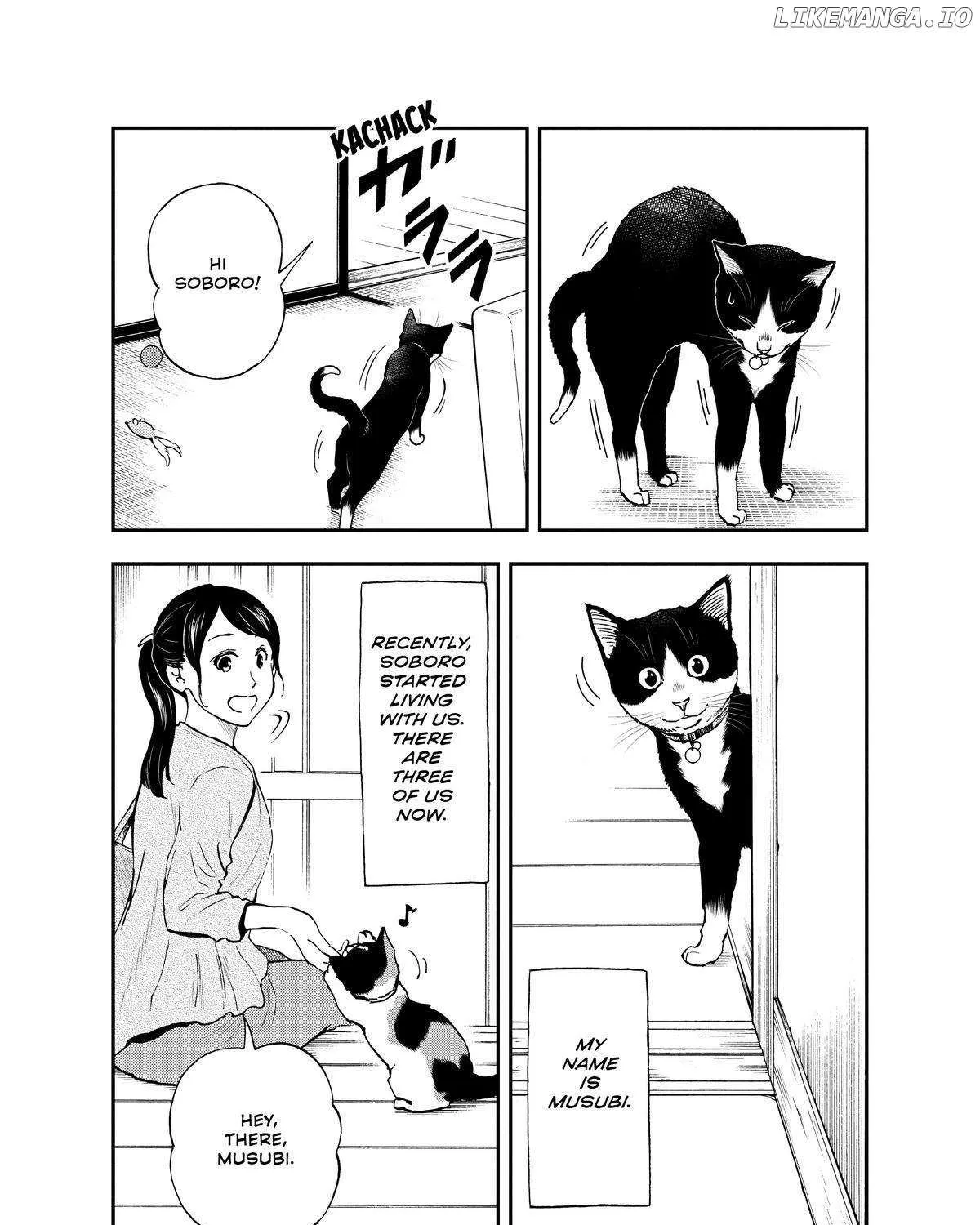 A Gamer Living with a Cat Chapter 34 page 5 - 
