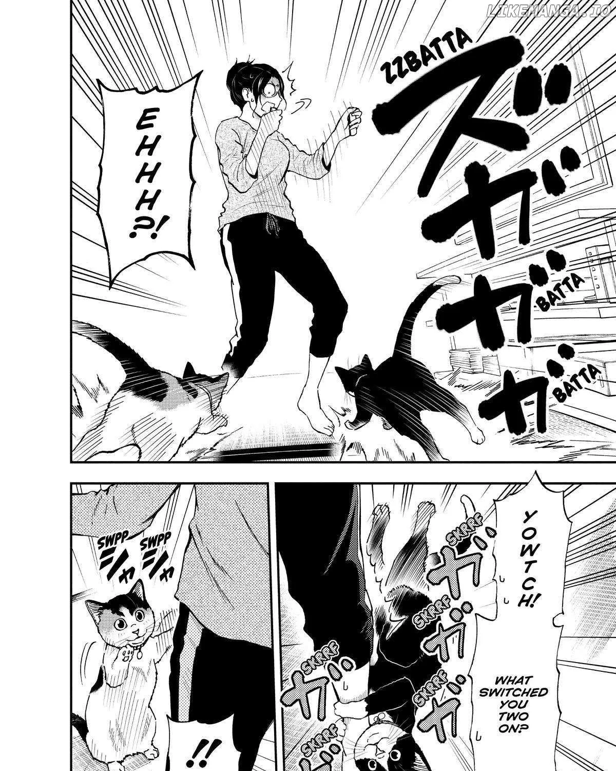 A Gamer Living with a Cat Chapter 35 page 15 - 
