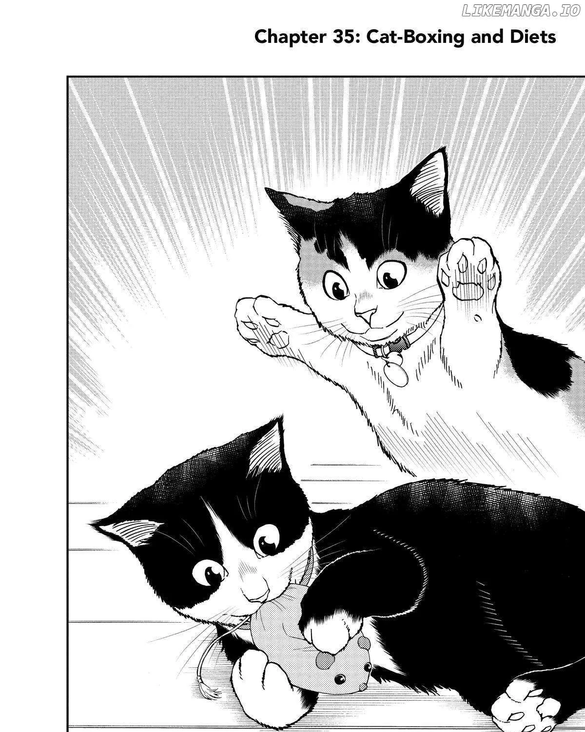 A Gamer Living with a Cat Chapter 35 page 3 - 
