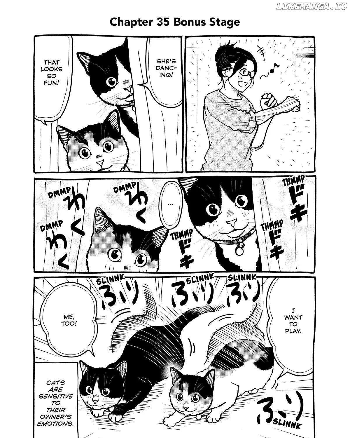 A Gamer Living with a Cat Chapter 35 page 37 - 