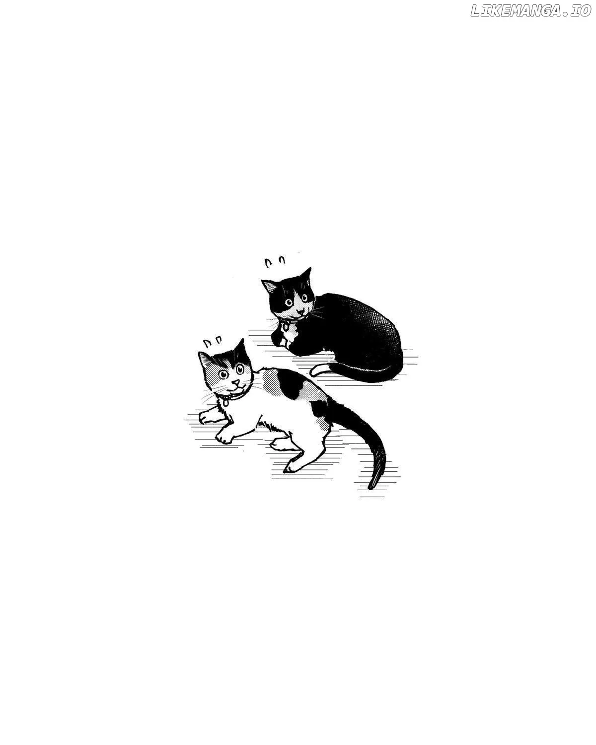 A Gamer Living with a Cat Chapter 35 page 39 - 