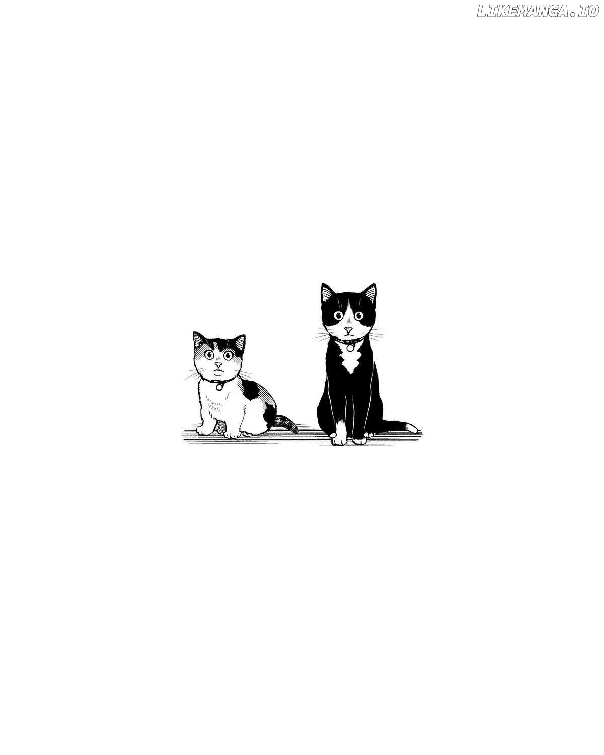 A Gamer Living with a Cat Chapter 35 page 47 - 