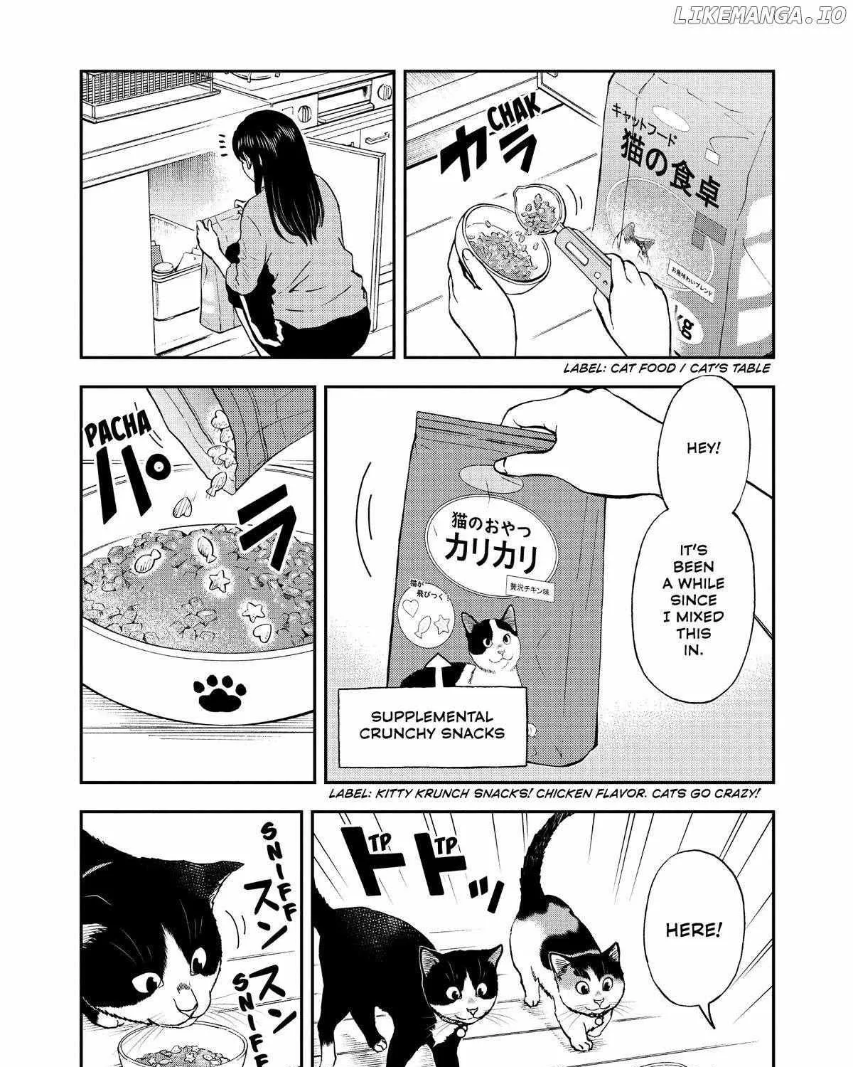 A Gamer Living with a Cat Chapter 36 page 17 - 
