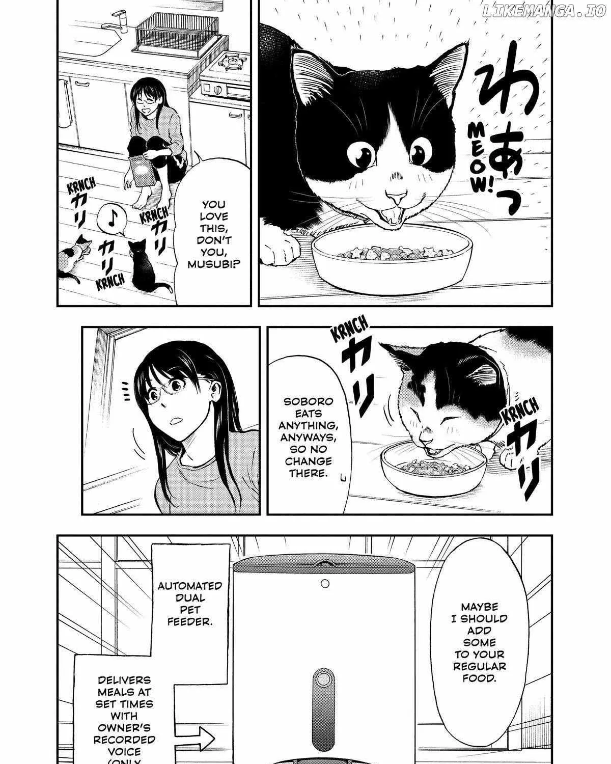 A Gamer Living with a Cat Chapter 36 page 19 - 
