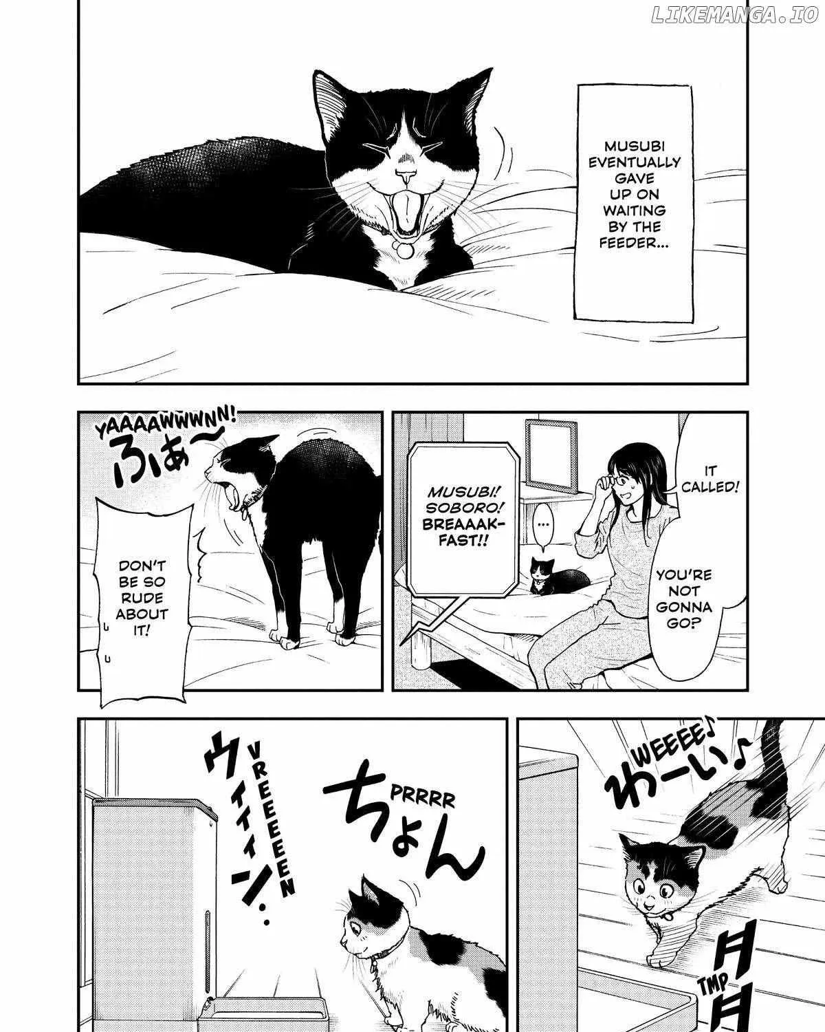 A Gamer Living with a Cat Chapter 36 page 33 - 