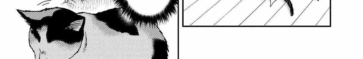A Gamer Living with a Cat Chapter 36 page 36 - 