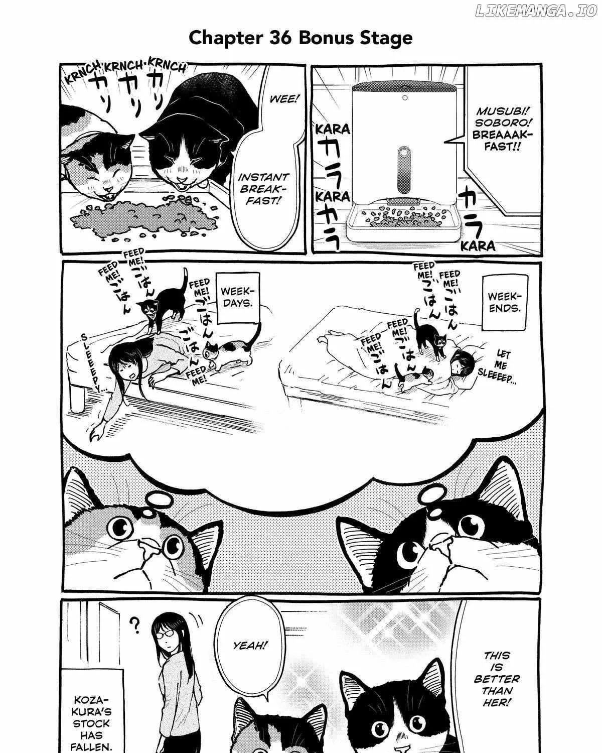 A Gamer Living with a Cat Chapter 36 page 39 - 