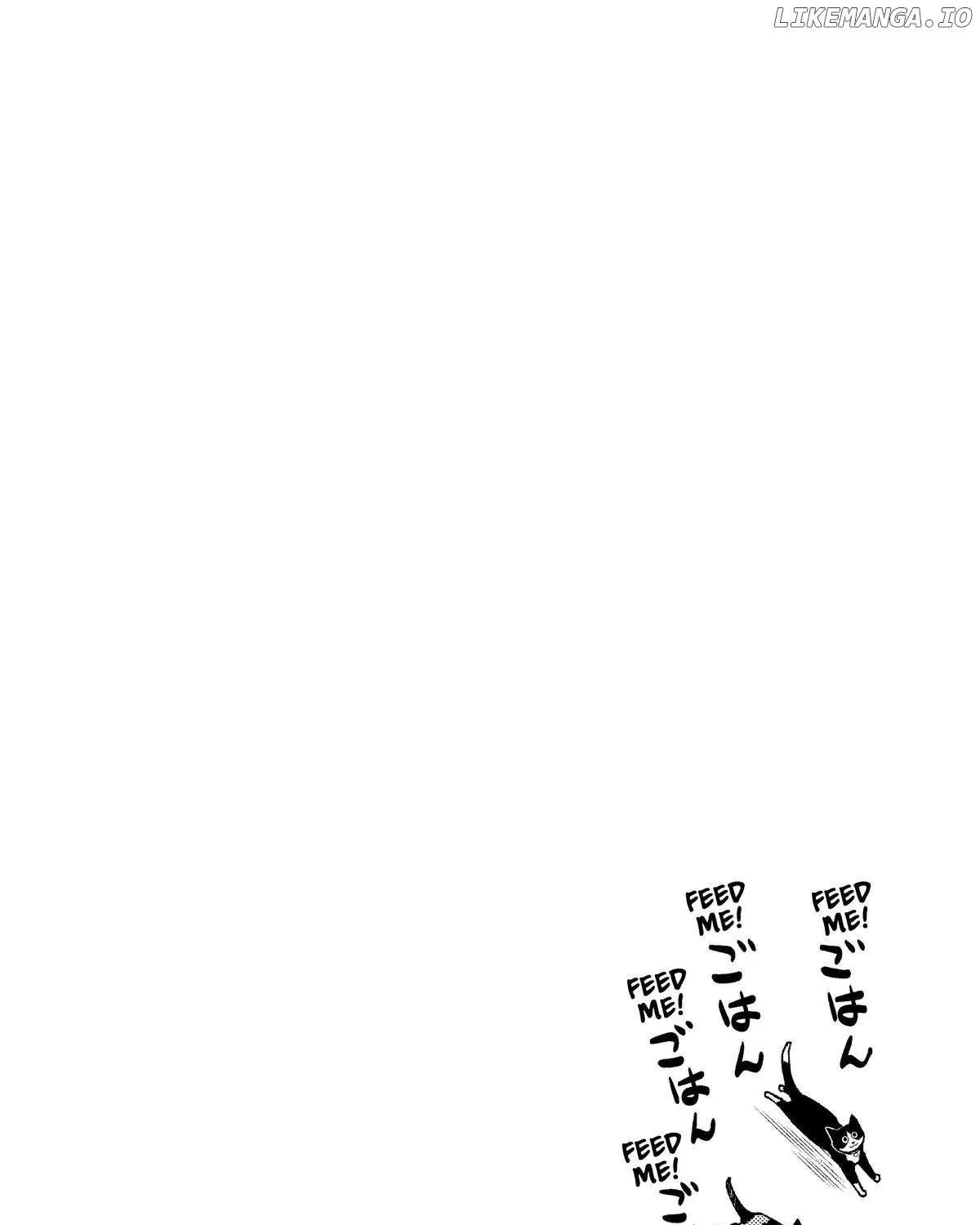 A Gamer Living with a Cat Chapter 36 page 41 - 