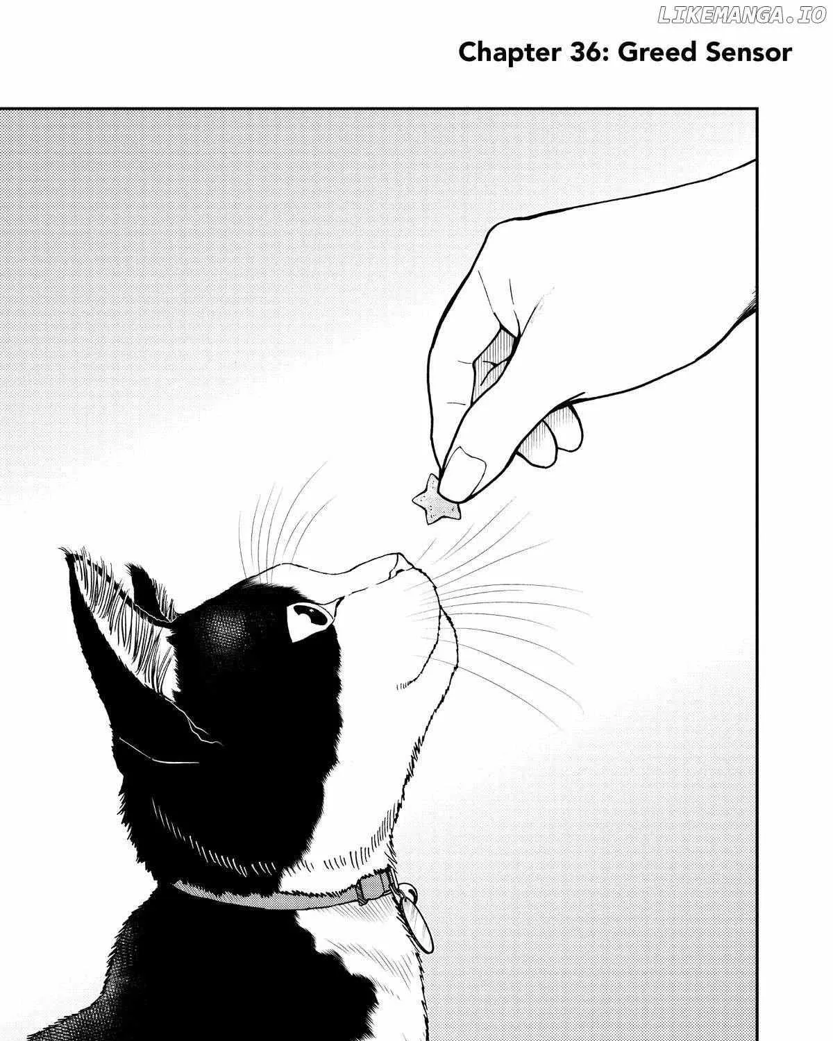 A Gamer Living with a Cat Chapter 36 page 7 - 