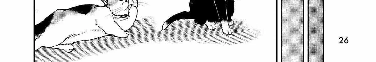 A Gamer Living with a Cat Chapter 37 page 12 - 