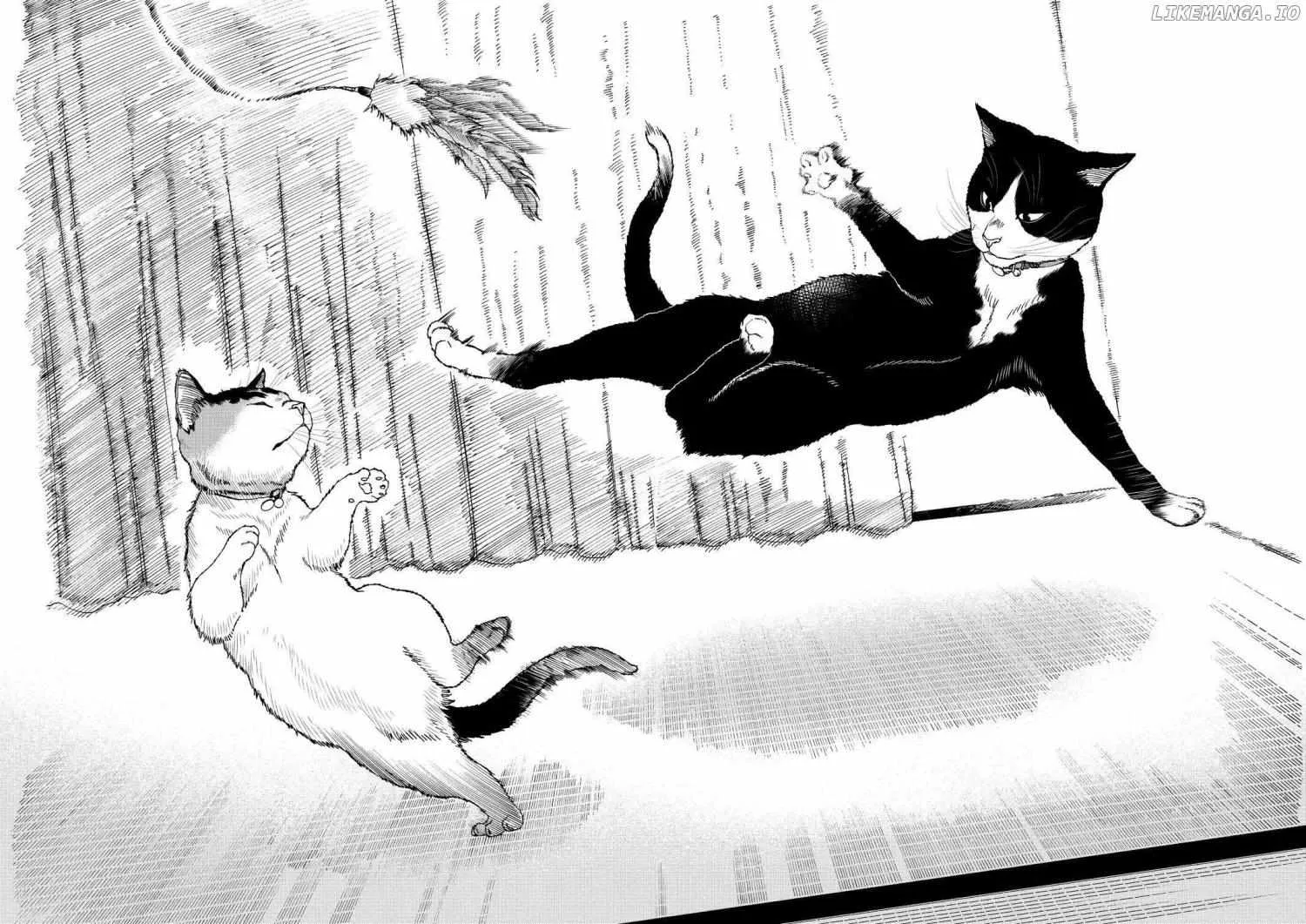 A Gamer Living with a Cat Chapter 37 page 15 - 